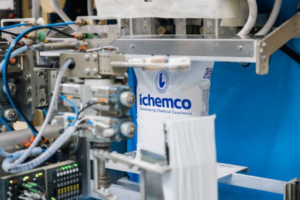 Antioxidant production